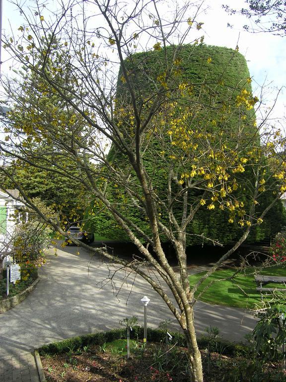 Bucket Tree Lodge Tawa 외부 사진